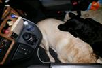 even the girls love ridin on air